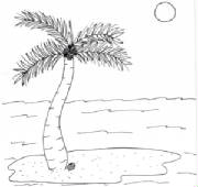 island.jpg