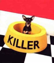 killer.jpg