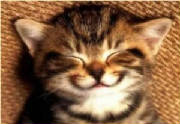 kittysmile.jpg