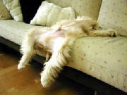 roughday.jpg