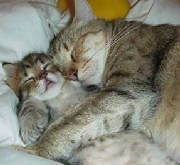 snugglies.jpg