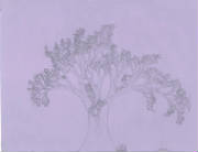 tree.jpg