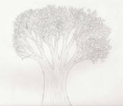 tree2.jpg