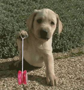 cadcnajh.gif