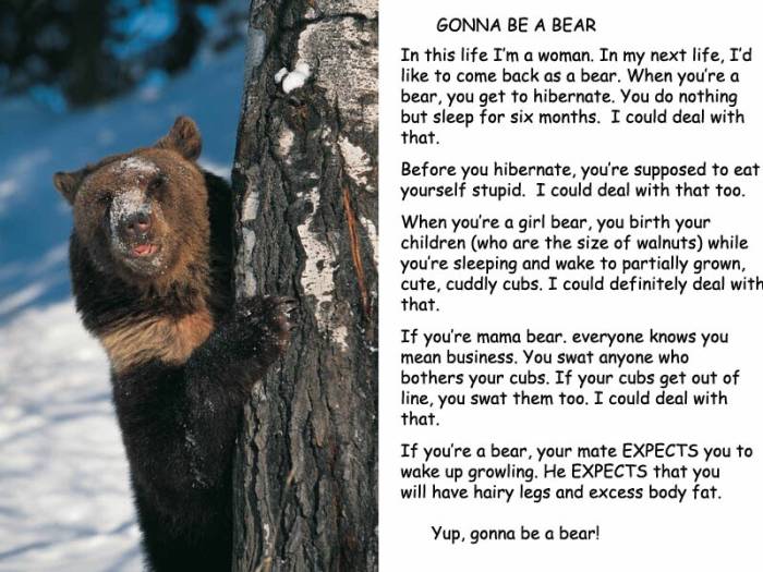 gonnabeabear.jpg