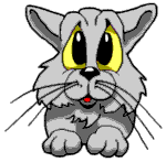 winkingcat.gif